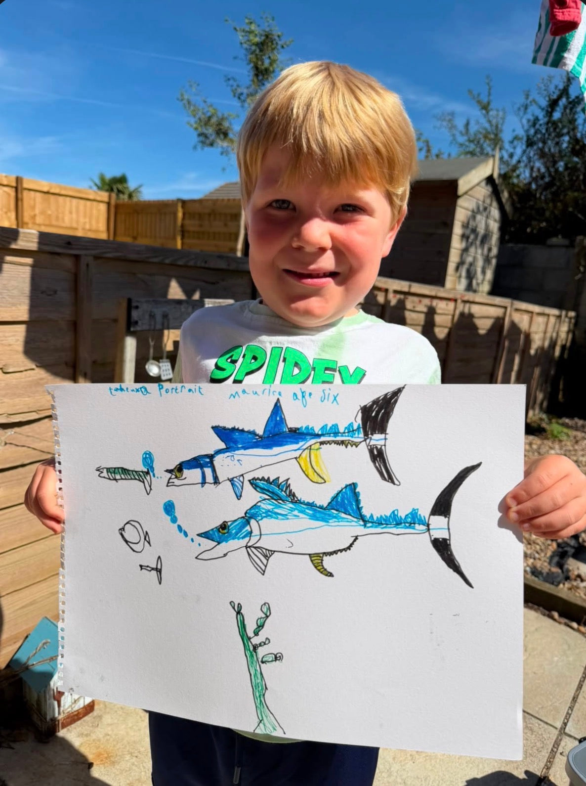 Maurice’s Bluefin Tee: Competition Winner