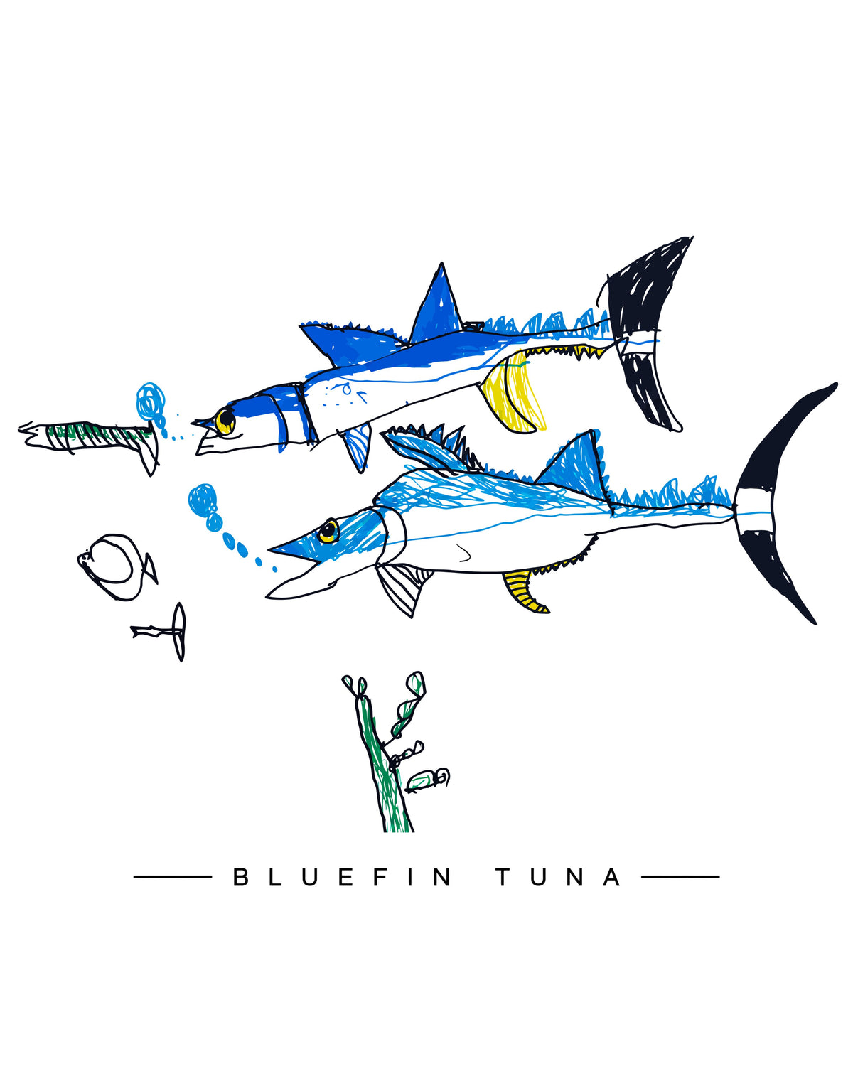 Maurice’s Bluefin Tee: Competition Winner