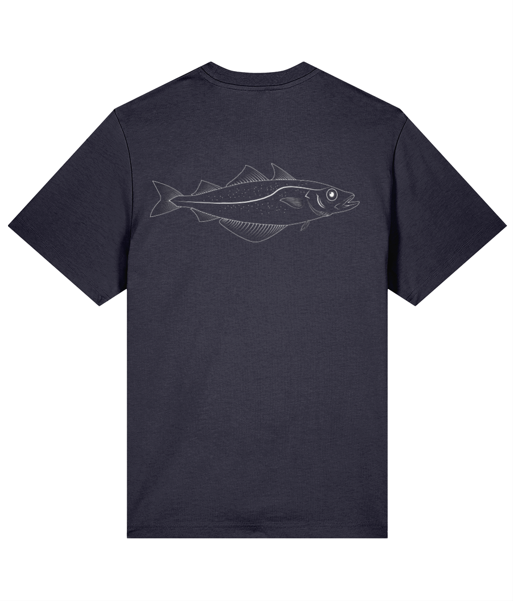 FISH CLUB | POLLACK