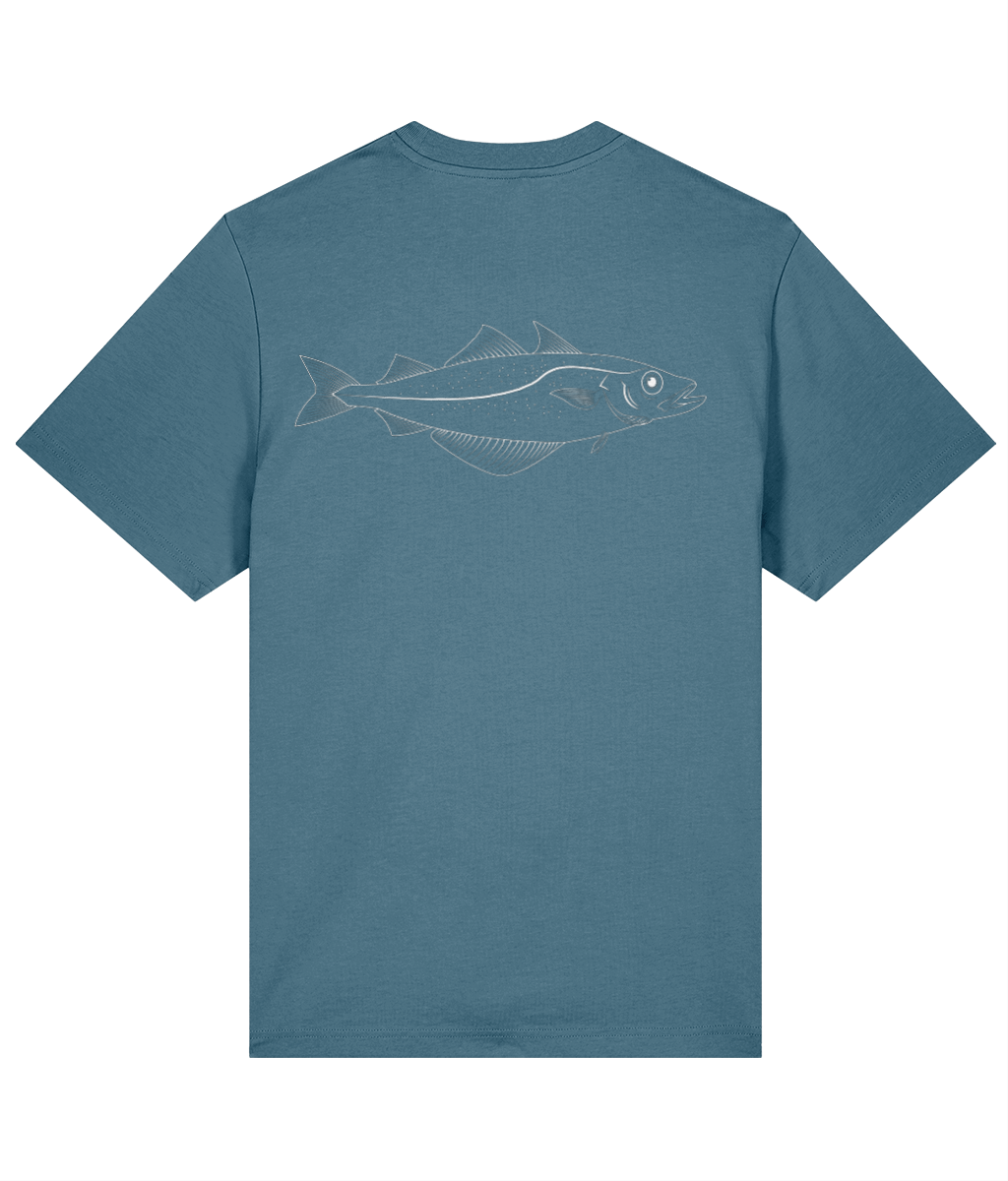 FISH CLUB | POLLACK