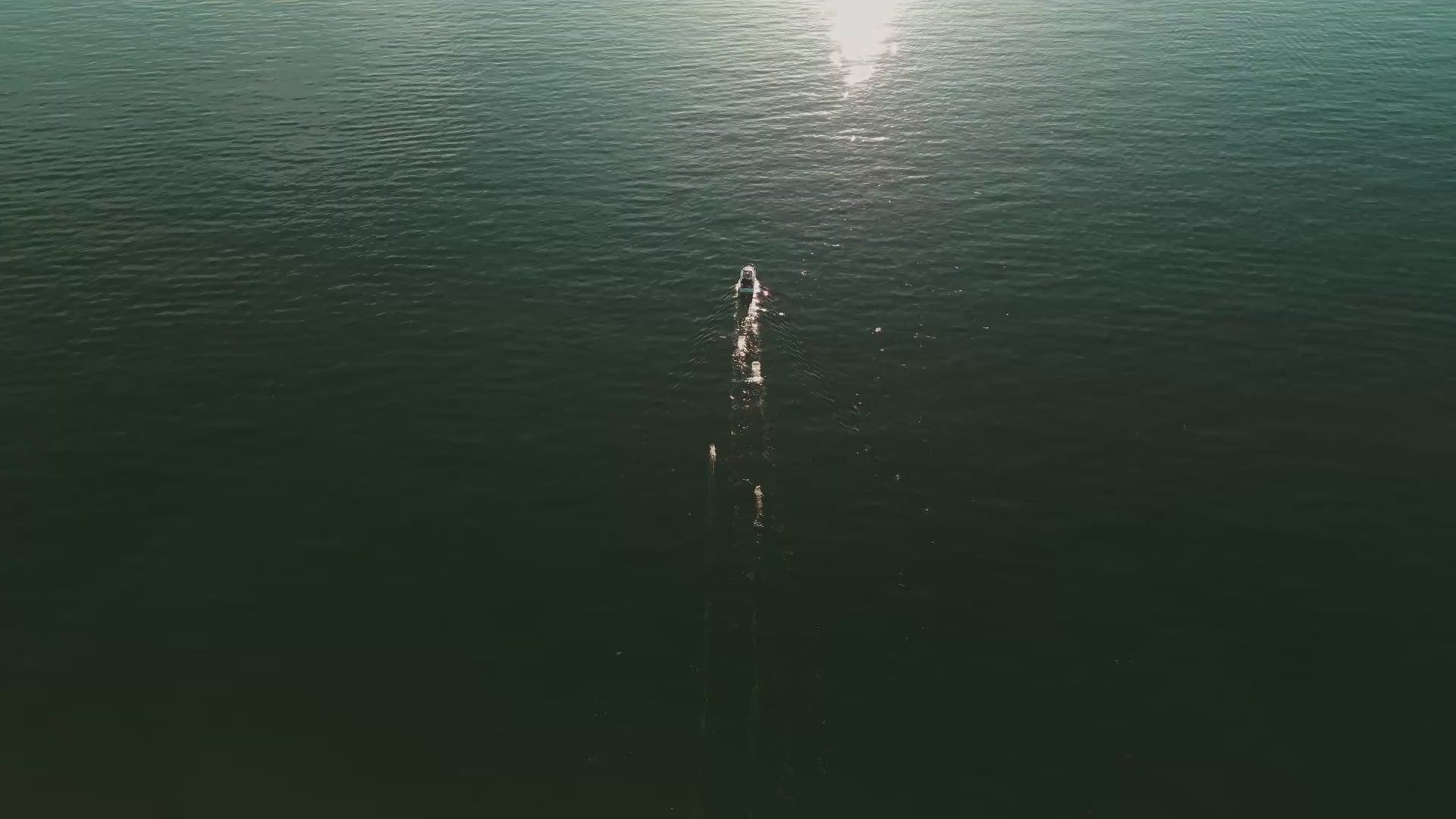 Load video: Video by 96studios